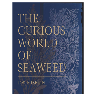 The Curious World of Seaweed by Josie Iselin. Hardcover book cover featuring a dark-blue seaweed art print by the author.