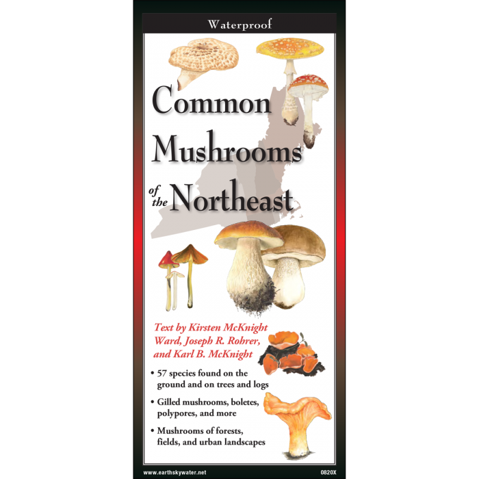 Common Mushrooms of the Northeast Multi-Fold Field Guide front cover