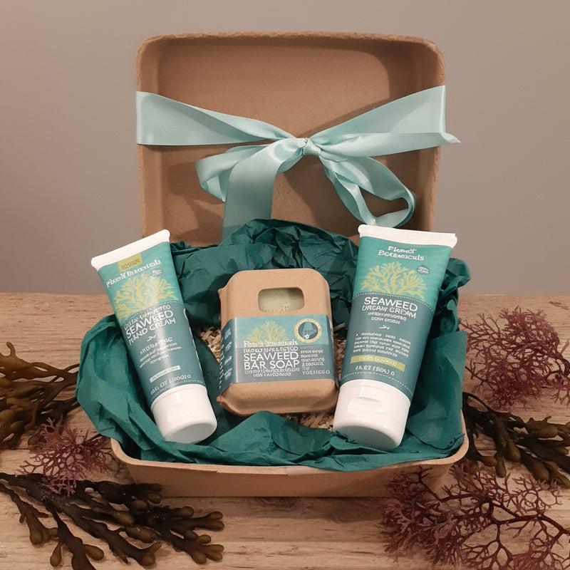 Luxurious Seaweed Skin Hydrator Gift Set 