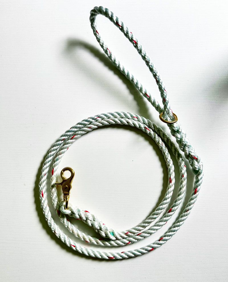 White with Red Tracers Dog Leash · Washashore Store