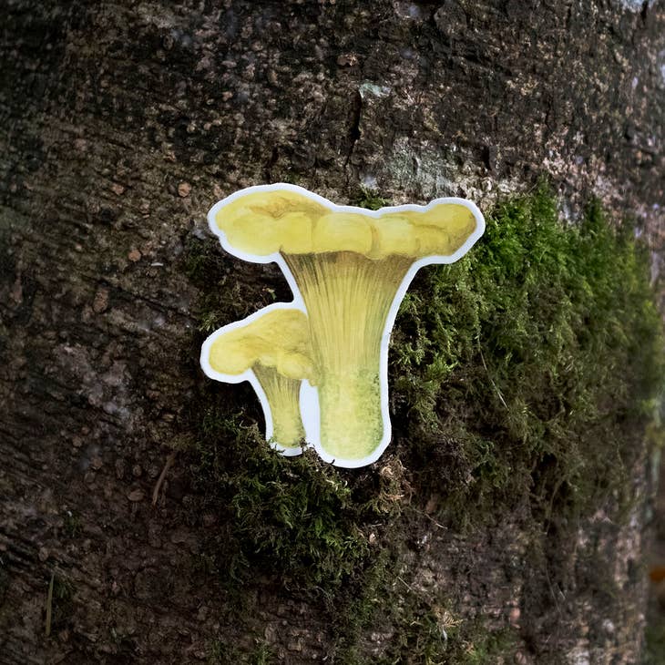 Golden Chanterelle Vinyl Sticker · Yardia