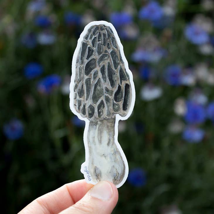 Morel Mushroom Vinyl Sticker