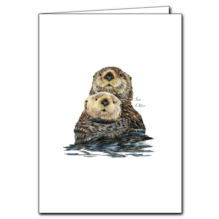 Assorted Greeting Cards by Earth Sky + Water