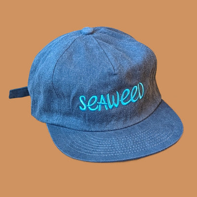 Seaweed Hat · Washed 5-Panel Baseball Cap by Weld