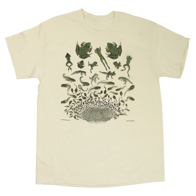 Frog Metamorphosis Adult T-Shirt in Natural · Liberty Graphics