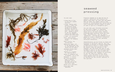 Seaweed: Foraging, Collecting, Pressing by Julia Bird & Melanie Molesworth