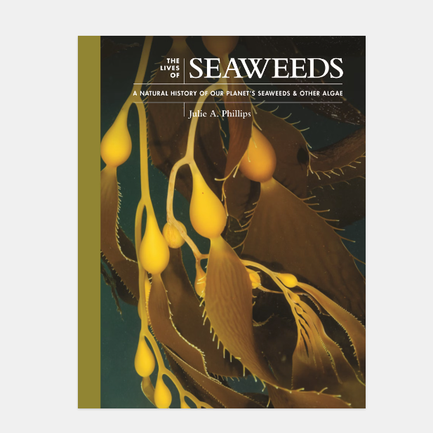 The Lives of Seaweeds: A Natural History of Our Planet&