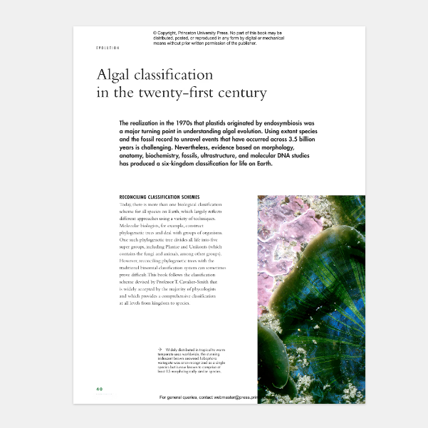 The Lives of Seaweeds: A Natural History of Our Planet&
