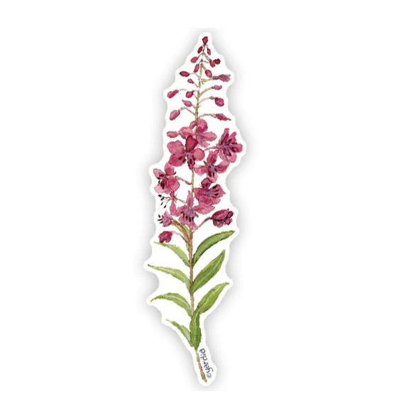 Fireweed Vinyl Sticker · Yardia