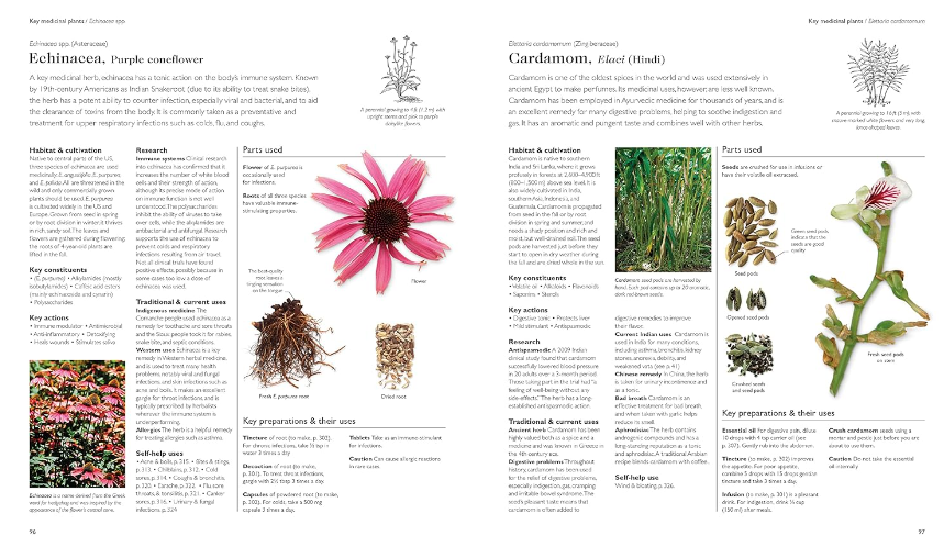 Encyclopedia of Herbal Medicine – Heritage Seaweed