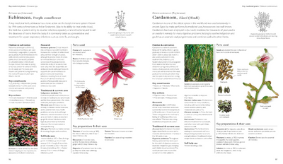 Encyclopedia of Herbal Medicine