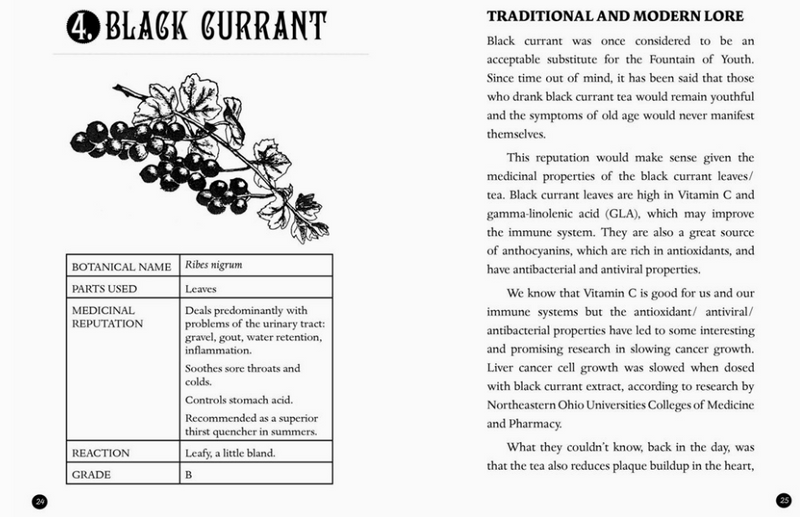 Everyday Herbal Teamaking: Health, Fun, and Self-Care Guide