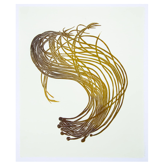 Wild Sea Seaweed Print notecards