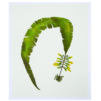 Wild Sea Seaweed Print notecards