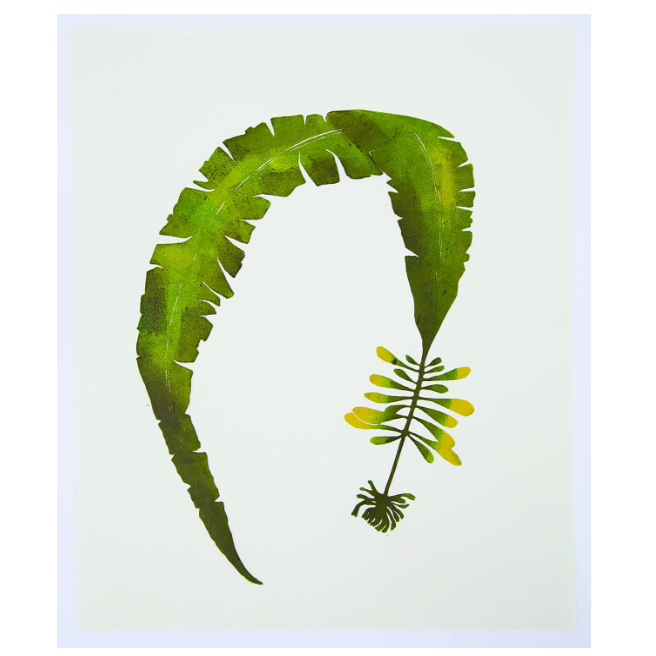 Wild Sea Seaweed Print notecards