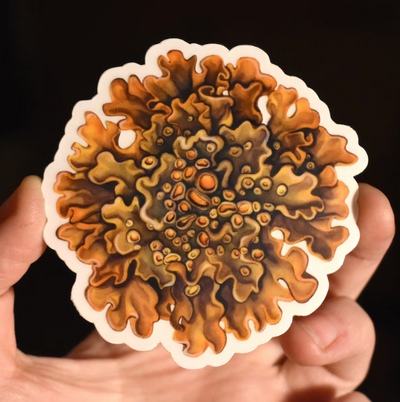 Sunburst Lichen Sticker