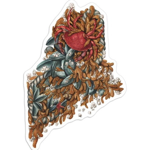 Maine Intertidal Zone Sticker (White Border)