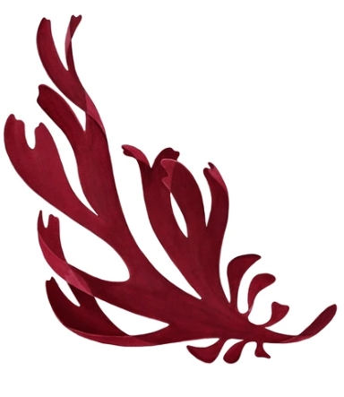 Dulse Sticker