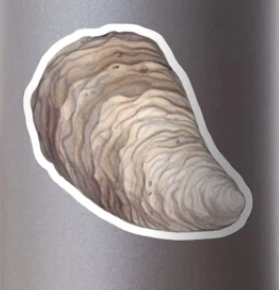 American Oyster Sticker