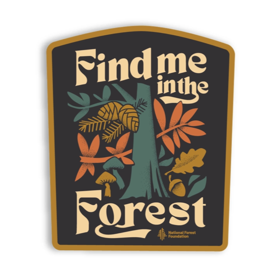 Find Me in the Forest Sticker