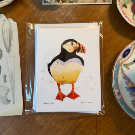 Atlantic Puffin · Recycled Cards 4-pack · Kristin Simmons