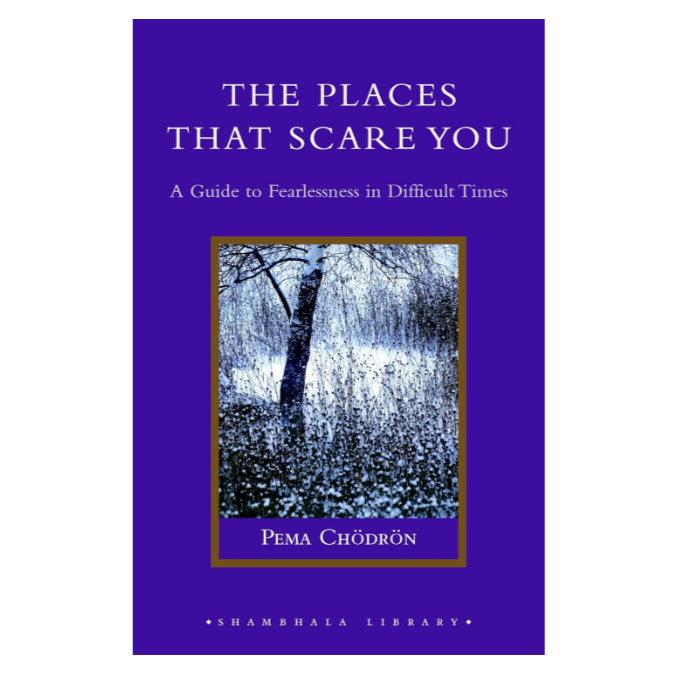 The Places That Scare You by Pema Chödrön