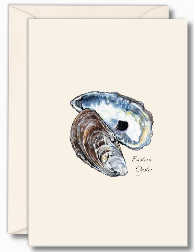 Eastern Oyster Card Pack of 8 · Earth Sky + Water