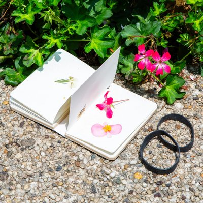 Huckleberry Field Flower Press