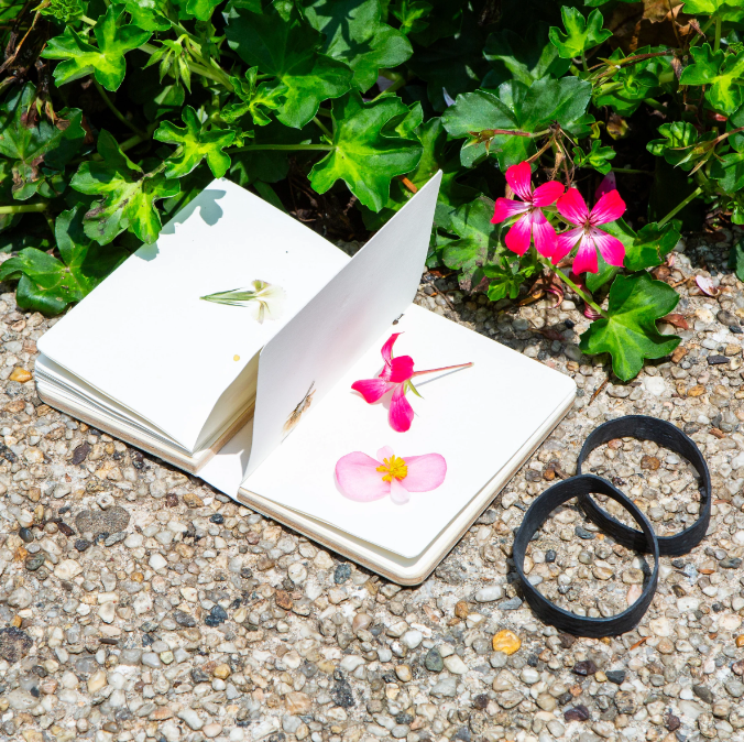 Huckleberry Field Flower Press