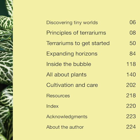 Hello Tiny World: An Enchanting Journey into the World of Creating Terrariums