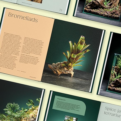 Hello Tiny World: An Enchanting Journey into the World of Creating Terrariums
