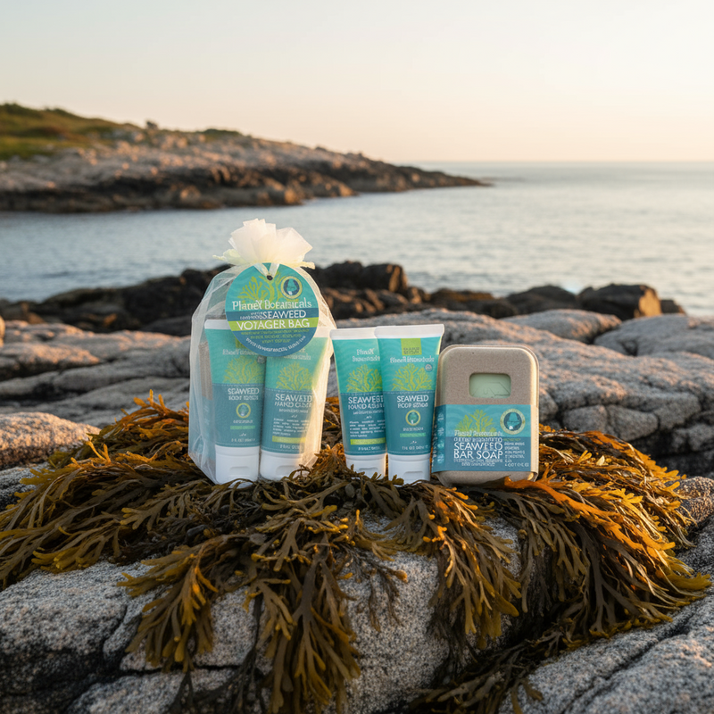 Seaweed Voyager Gift Bags · Planet Botanicals · A Perfect Gift From Maine!