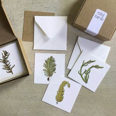 Mini Cards Set · 12-pack