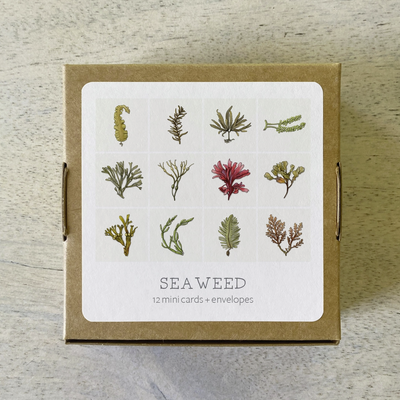 Mini Cards Set · 12-pack