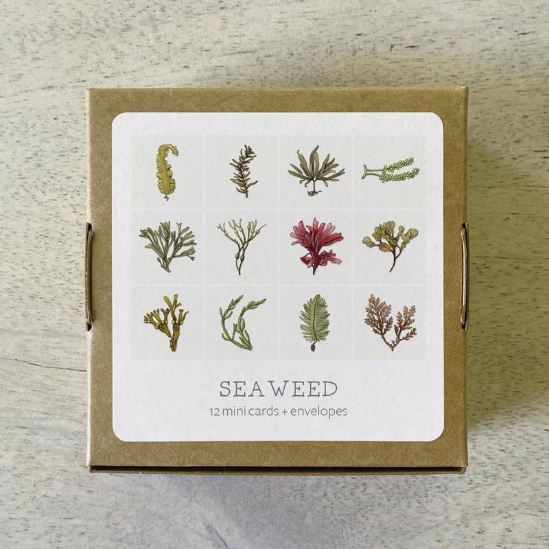 Mini Cards Set · 12-pack