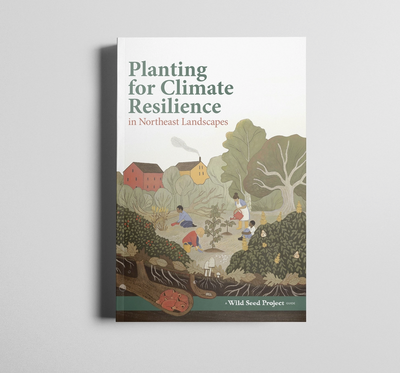Planting For Climate Resilience in Northeast Landscapes・Wild Seed Project