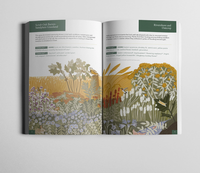 Planting For Climate Resilience in Northeast Landscapes・Wild Seed Project