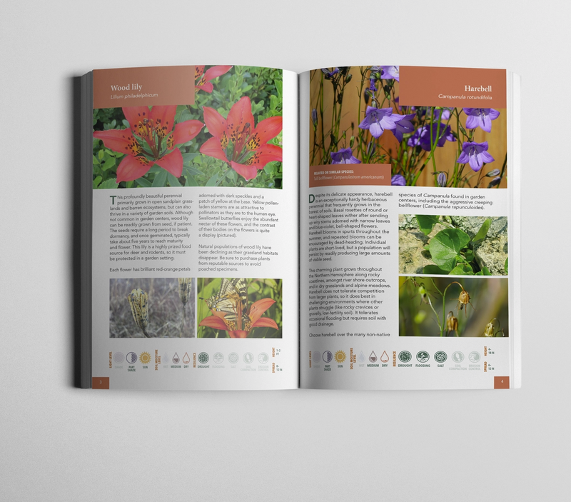 Planting For Climate Resilience in Northeast Landscapes・Wild Seed Project