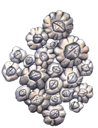 Barnacle Cluster Sticker