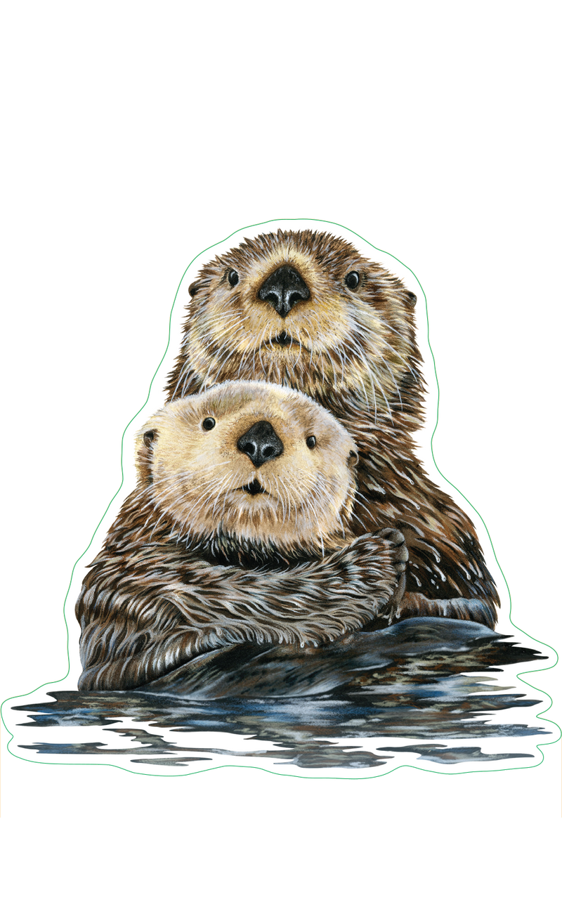 Sea Otter with Pup Sticker