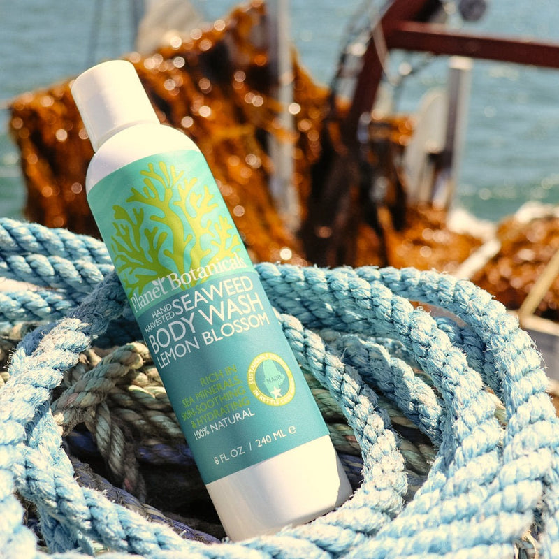 Seaweed Body Wash · 8oz · Planet Botanicals