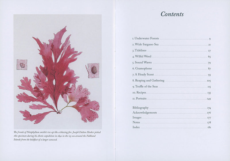 Seaweed, An Enchanting Miscellany · by Miek Zwamborn