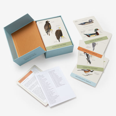 Sibley Backyard Birding Flashcards: 100 Common Birds of Eastern and Western North America