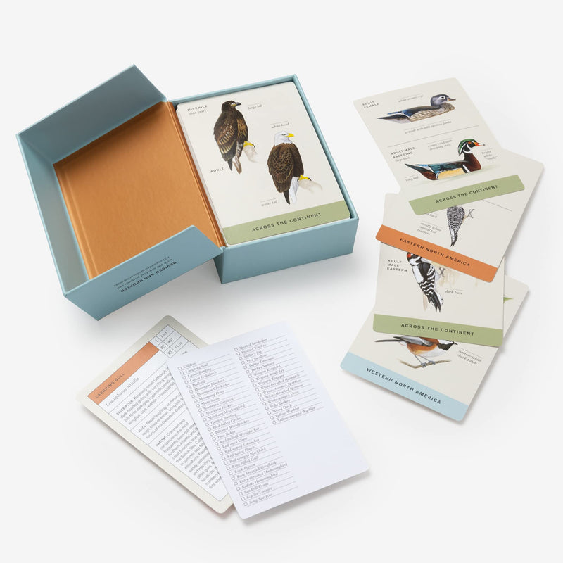 Sibley Backyard Birding Flashcards: 100 Common Birds of Eastern and Western North America