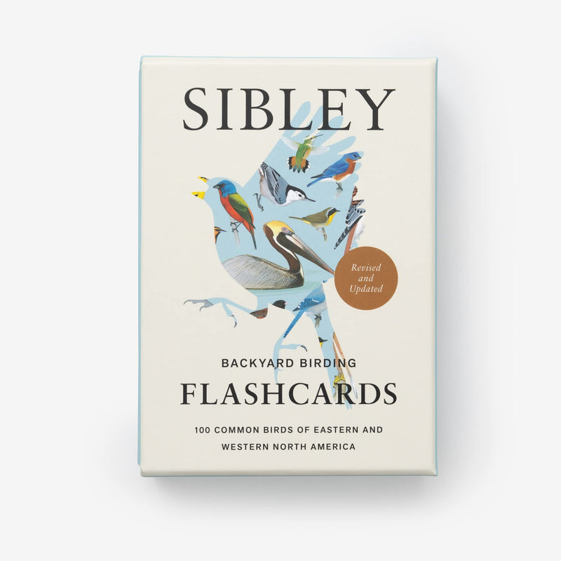Sibley Backyard Birding Flashcards: 100 Common Birds of Eastern and Western North America