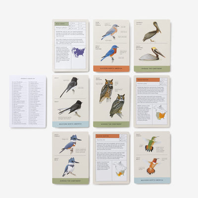 Sibley Backyard Birding Flashcards: 100 Common Birds of Eastern and Western North America