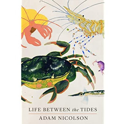 Life Between the Tides by Adam Nicolson book cover featuring a painting of a crab, shrimp and snail