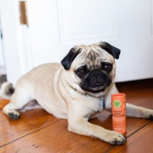 Paw Protector · By Maine Street Bee