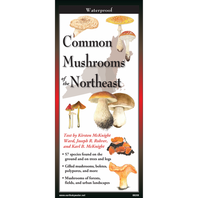 Common Mushrooms of the Northeast Multi-Fold Field Guide front cover