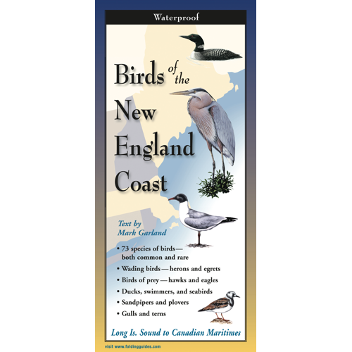 Birds of the New England Coast - Multi-Fold Field Guide